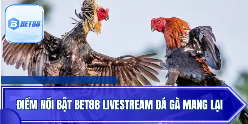 Điểm nổi bật Bet88 livestream đá gà mang lại
