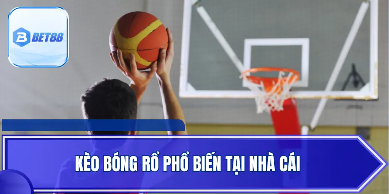 Kèo bóng rổ phổ biến tại nhà cái
