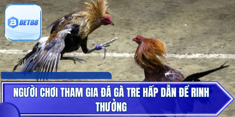 Sảnh cược hứa hẹn trải nghiệm nhiều ưu điểm