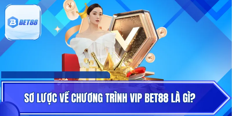 Sơ lược về chương trình VIP BET88 là gì?