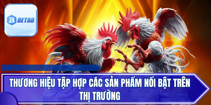Thương hiệu tập hợp các sản phẩm nổi bật trên thị trường